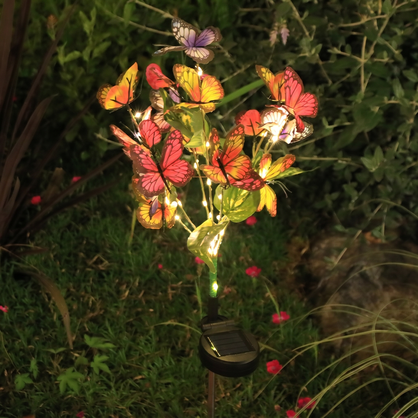 🔥2026 New Arrivals: 50% Off for a Limited Time!🔥🦋Hot Sale Offers-Solar Outdoor Butterfly Lights💐