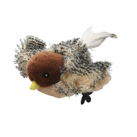 Sparrow