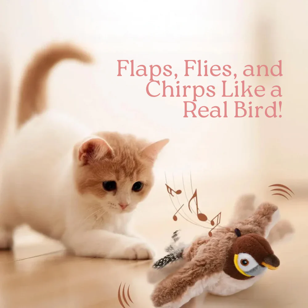 Neravio™ Flappy Bird Cat Toy | Easy To Use | Pet Toy